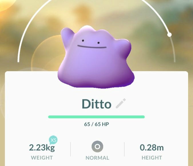 Pokémon Go Ditto qué Pokémon salvajes pueden ser Ditto en Marzo de